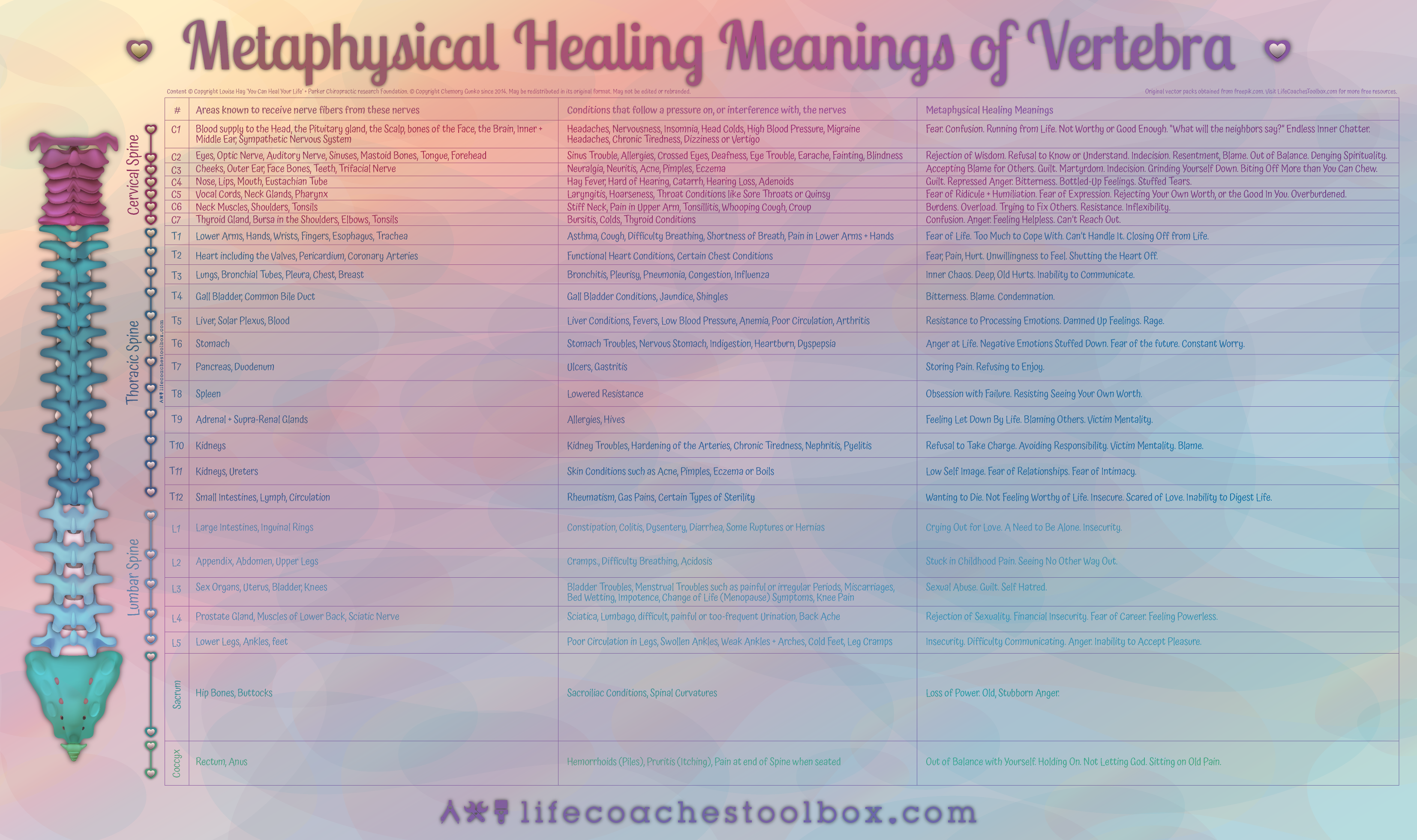 Metaphysical Healing Meanings of the Spine & Vertebra