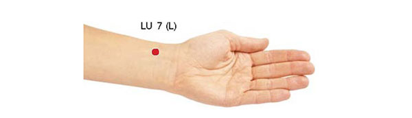 Lung 7
