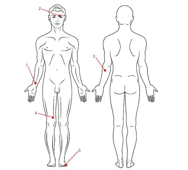 Complete five point circuit for restoring the fundamental vibration