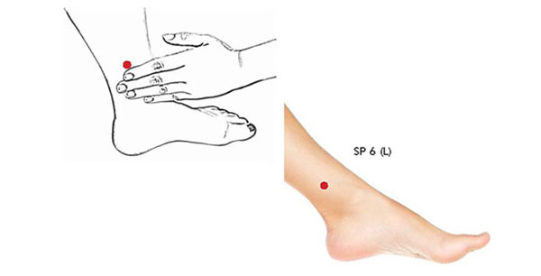 Spleen 6